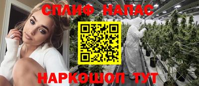 крисы Аргун