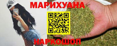 крисы Аргун
