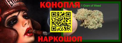 крисы Аргун