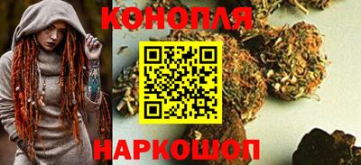 крисы Аргун