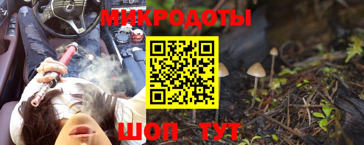 Галлюциногенные грибы Psilocybe Бахчисарай