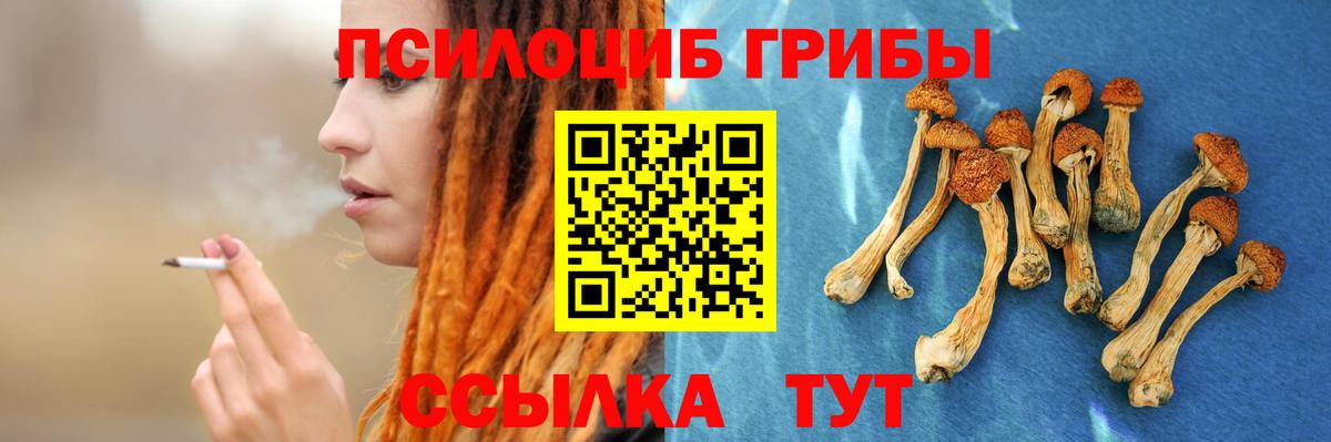 где продают   Вход с VPN  Псилоцибиновые грибы Psilocybe  Бахчисарай  Псилоцибиновые грибы Cubensis 
